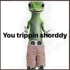 Meet your Posher, Xavier